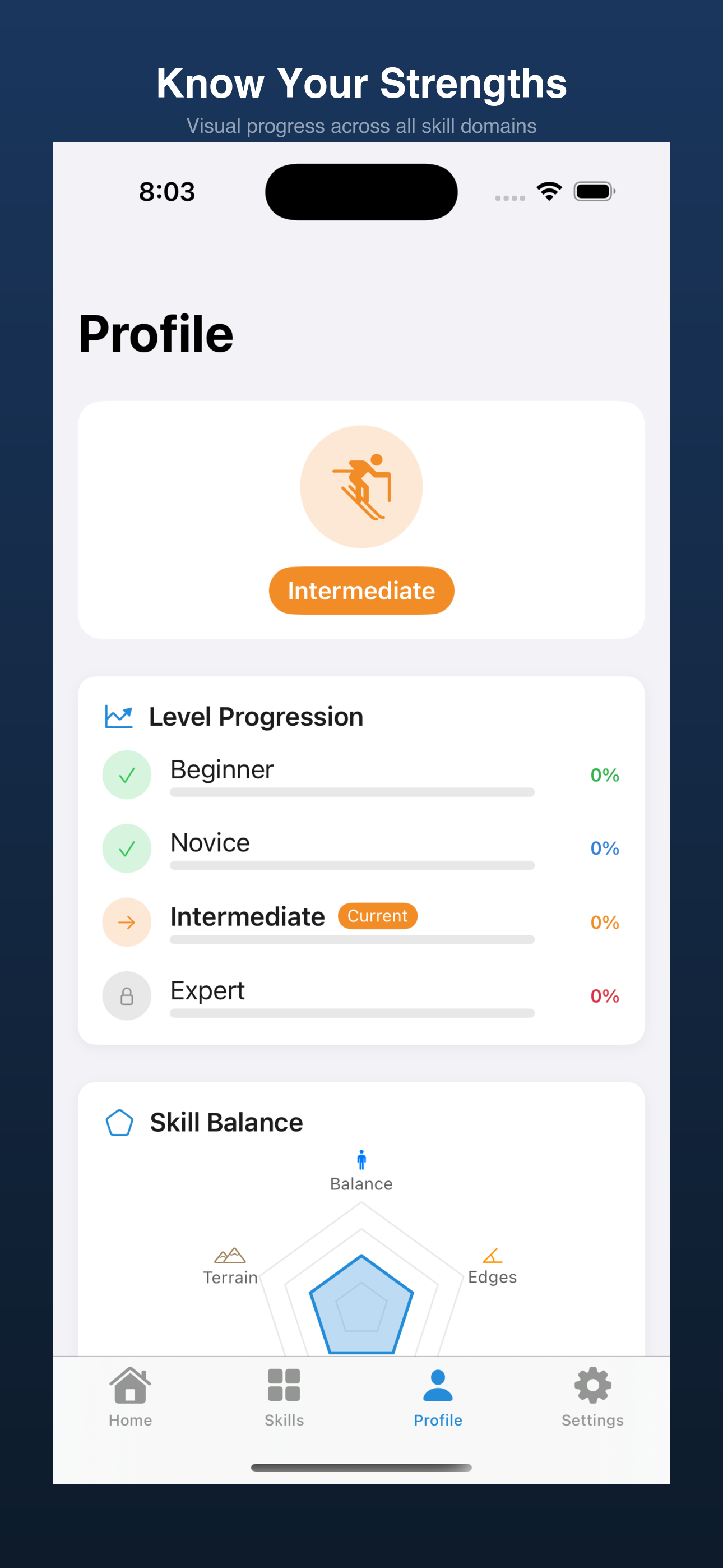 Turn Lab skier profile showing radar chart of skill domains and overall progression stats